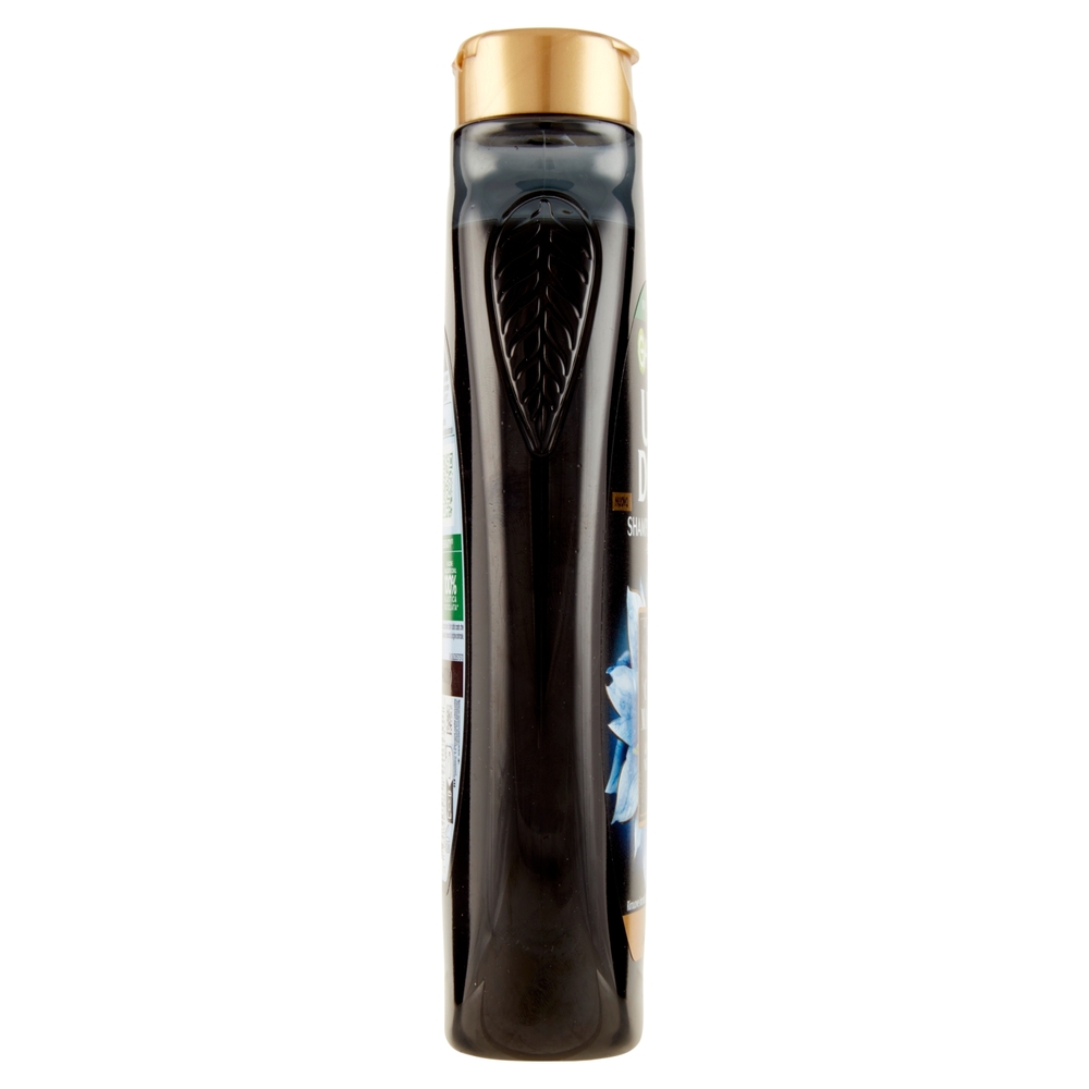 Garnier Ultra Dolce Carbone Magnetico Shampoo Purificante & Idratante 300 ml